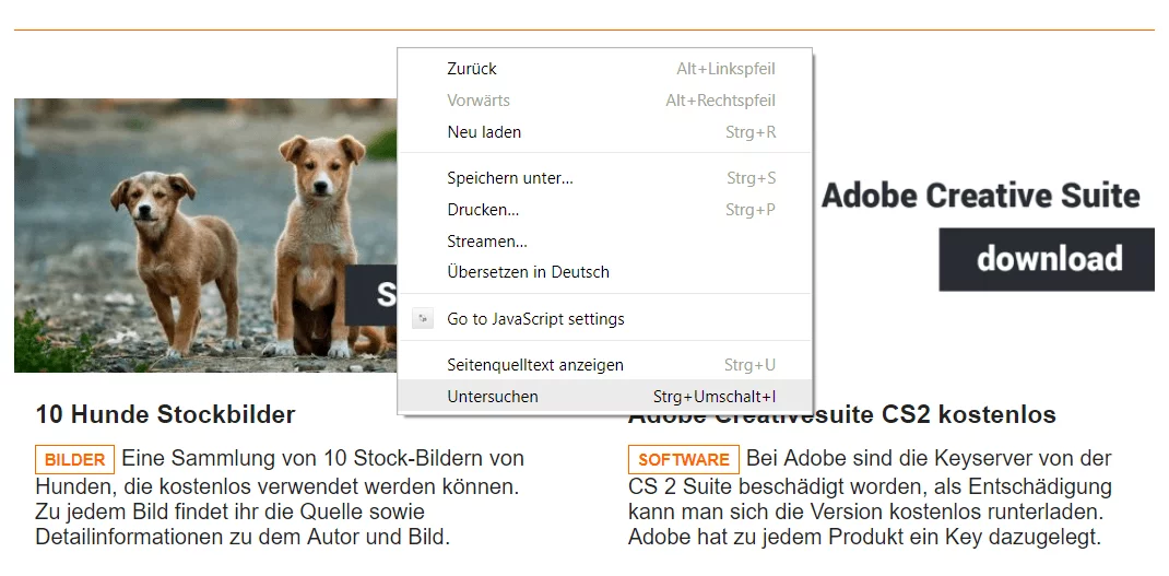 Webseite untersuchen