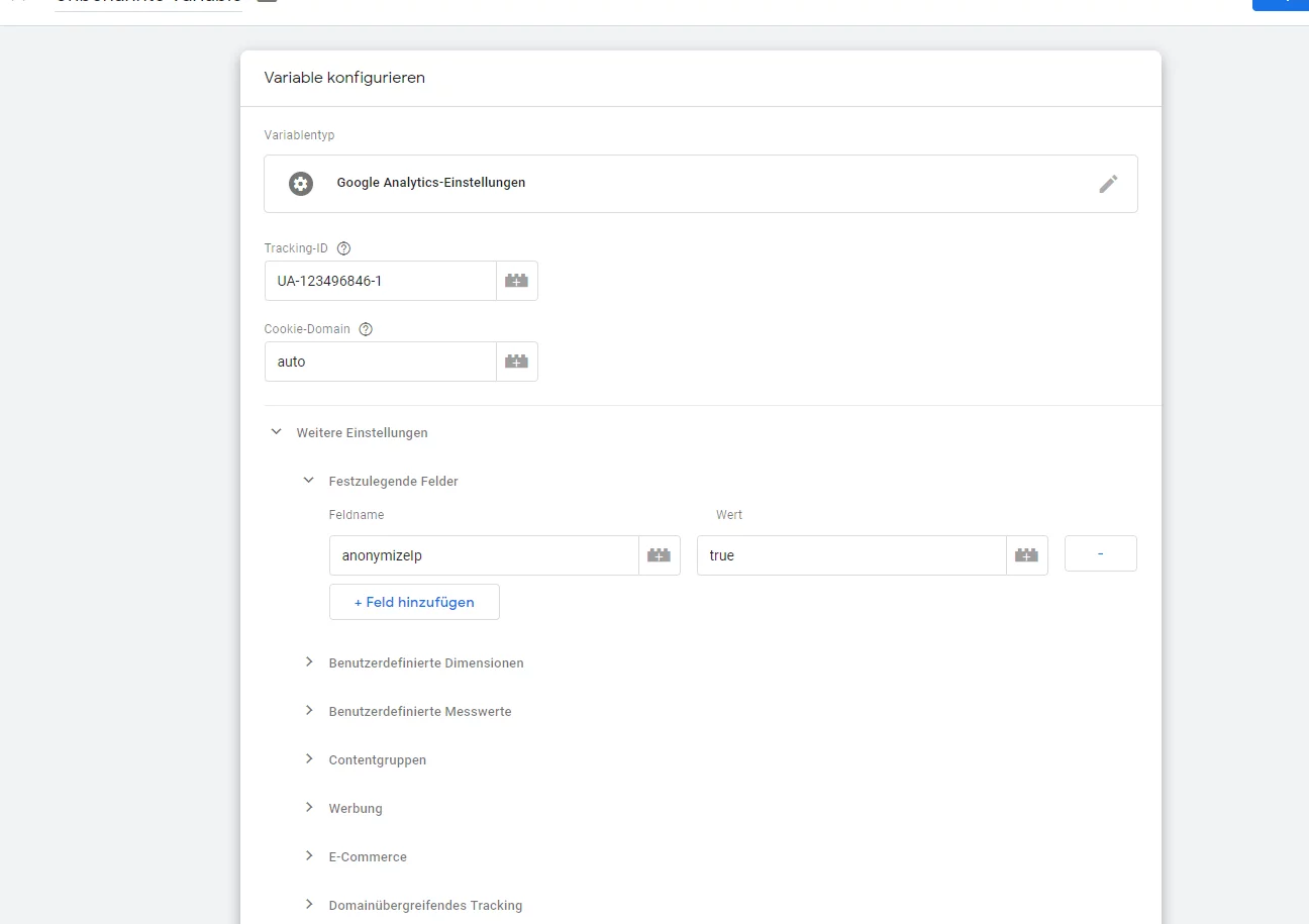 Google Analytics Einstellungen ID und Anon